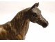 Bronze sculpture, horse thoroughbred stallion, A.Dubucand, XIXth