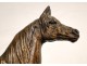 Bronze sculpture, horse thoroughbred stallion, A.Dubucand, XIXth