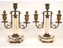 Pair Louis XVI chandeliers, marble and brass nineteenth