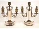 Pair Louis XVI chandeliers, marble and brass nineteenth