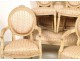 5 Rooms Salon Louis XVI armchairs and sofa chairs, NapIII nineteenth