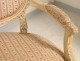 5 Rooms Salon Louis XVI armchairs and sofa chairs, NapIII nineteenth