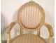 5 Rooms Salon Louis XVI armchairs and sofa chairs, NapIII nineteenth