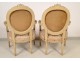 5 Rooms Salon Louis XVI armchairs and sofa chairs, NapIII nineteenth