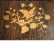 Charles X rosewood box inlaid box butterfly bird nineteenth