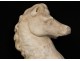 Rare Carrara marble sculpture horse horse ancient Roman marble collection