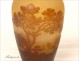 Vase glass paste pond landscape signed Gallé Art Nouveau nineteenth century