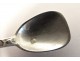 3 tablespoons salt sterling silver flower silver spoon Minerva Napoleon III 19th