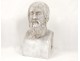 Plaster bust sculpture man figure Greek philosopher Aristotle XIX