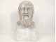 Plaster bust sculpture man figure Greek philosopher Aristotle XIX