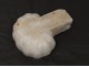 Clam shell white marble antique french eighteenth century are