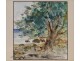 Watercolor, Landscape of the Dominican Republic, G.Pennamen, twentieth century