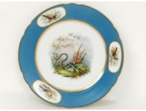 Assiette porcelaine Paris serpent jardin fleurs oiseaux Napoléon III XIXème