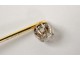 Pin tie solid 18K gold small eagle nineteenth century diamond head