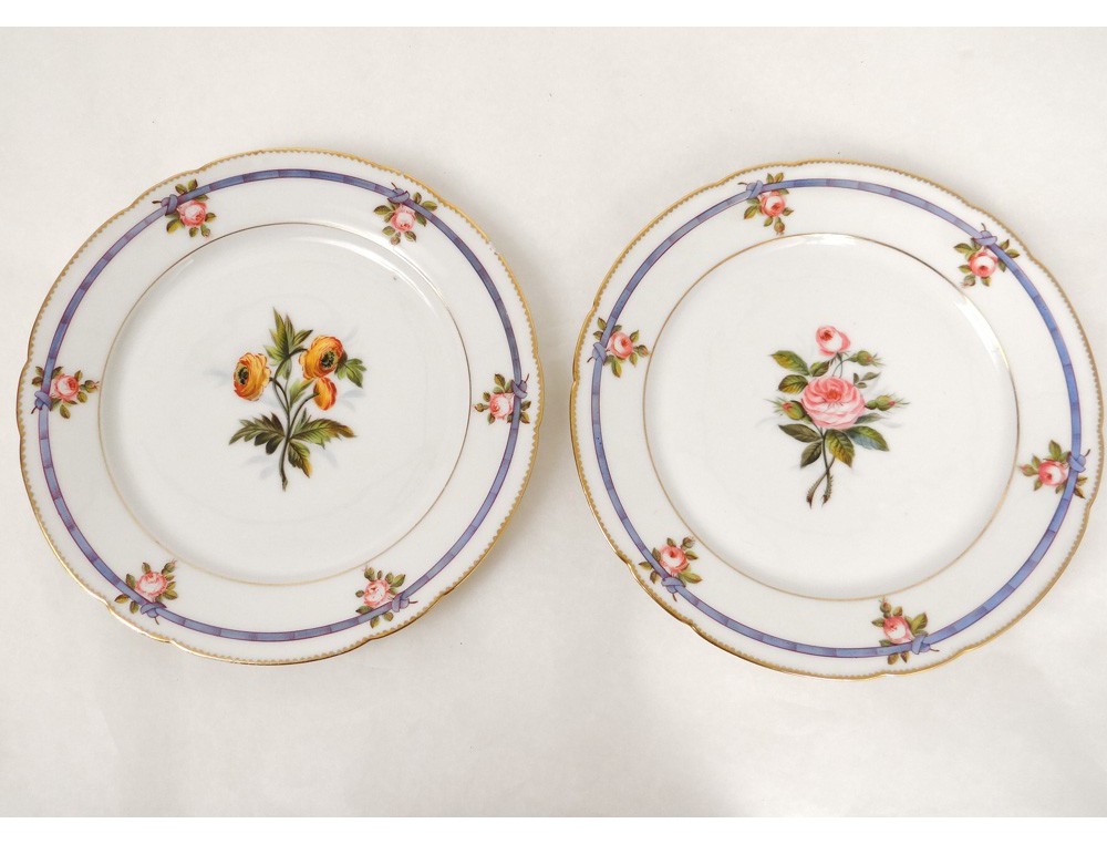 Service vaisselle 29 pièces porcelaine Paris assiettes botanique fleurs ...