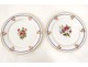 Service vaisselle 29 pièces porcelaine Paris assiettes botanique fleurs 19è