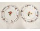 Service vaisselle 29 pièces porcelaine Paris assiettes botanique fleurs 19è