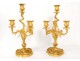 Candelabra pair 4 Louis XV ormolu rock lights Napoleon III nineteenth