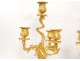 Candelabra pair 4 Louis XV ormolu rock lights Napoleon III nineteenth