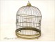 Bird cage golden brass origin Germany, 20th