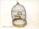 Bird cage golden brass origin Germany, 20th