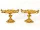 Superb pair cassolettes gilt bronze cups Napoleon III nineteenth shells