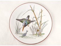 Assiette faïence Bordeaux Vieillard Grand Oiseaux Millet martin-pêcheur 19è