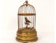 Automate oiseau chanteur siffleur cage laiton doré boîte musique France XXè