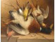 HST return pair still life hunting wild rabbit birds Bourguignon nineteenth