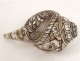 Conch shell carved Hindu god Shiva Nepal Asian dragon nineteenth century