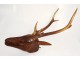 Wooden deer head sculpture carved Black Forest nineteenth trophy horns