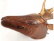 Wooden deer head sculpture carved Black Forest nineteenth trophy horns