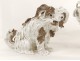 Pair of Meissen porcelain polychrome sculptures dogs bichon Griffin XIX