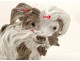 Pair of Meissen porcelain polychrome sculptures dogs bichon Griffin XIX