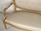 Salon Louis XVI giltwood armchairs bench Napoleon III nineteenth flowers