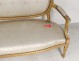 Salon Louis XVI giltwood armchairs bench Napoleon III nineteenth flowers