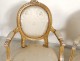 Salon Louis XVI giltwood armchairs bench Napoleon III nineteenth flowers