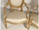 Salon Louis XVI giltwood armchairs bench Napoleon III nineteenth flowers