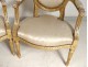 Salon Louis XVI giltwood armchairs bench Napoleon III nineteenth flowers