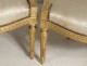 Salon Louis XVI giltwood armchairs bench Napoleon III nineteenth flowers