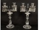 Pair candlesticks candelabra 2 lights crystal Baccarat chandelier medallion twentieth