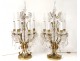 Pair of large gilt bronze chandeliers 6 lights cut crystal pendants XIX