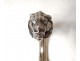 Cane former head pommel silver antique wood cane nineteenth lion