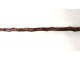 Cane former geologist thorny wooden cane pommel hammer twentieth metal