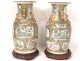 Pair of Chinese porcelain vases Canton characters butterflies nineteenth birds