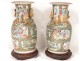 Pair of Chinese porcelain vases Canton characters butterflies nineteenth birds