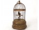 singing bird automaton whistler golden brass cage box nineteenth music