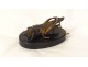 black marble sculpture bronze grasshopper nineteenth century