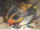 HST dead pair back kind paintings rabbit hunting pheasant V. Galloit nineteenth