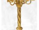 candelabra pair altar candlesticks church 9 bronze gilt brass lights nineteenth